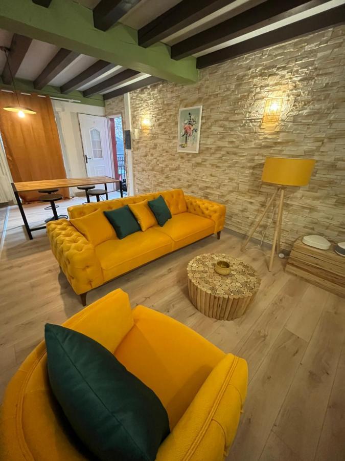 Appart Hotel Le 8 Le Duplex Macon Luaran gambar